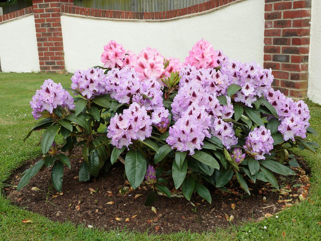 Blackmill Spinney Boutique B&B Chichester Exterior foto
